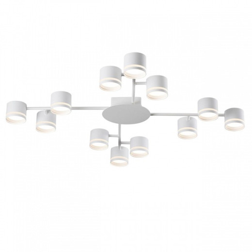 Потолочная люстра Lumion Gareta 8235/12C