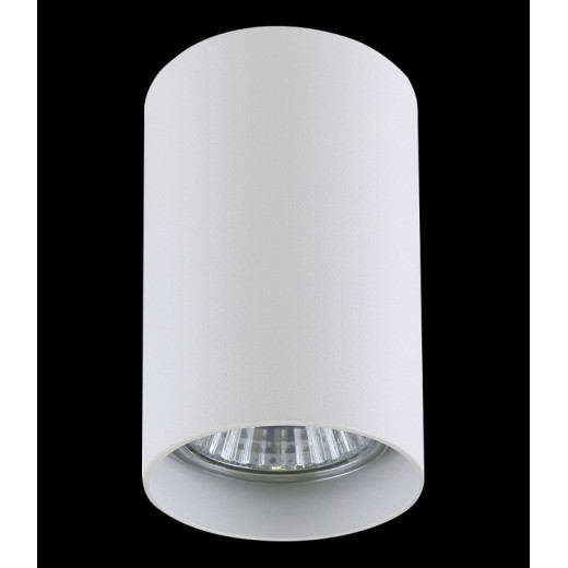 Накладной светильник Lightstar Rullo 214436