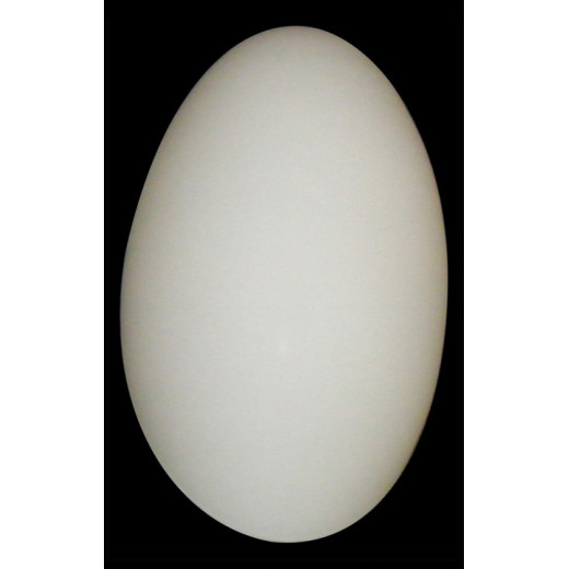 Накладной светильник Lightstar Sferetta 801600