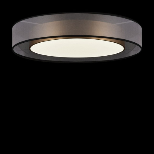 Накладной светильник Freya Zoticus FR6005CL-L48G