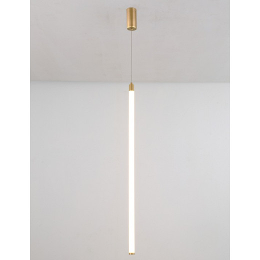 Подвесной светильник Maytoni Ray P022PL-L20G3K