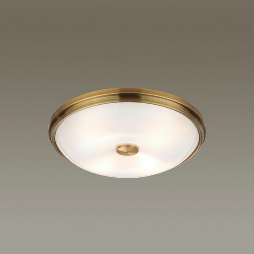 Накладной светильник Odeon Light Pelow 4956/4