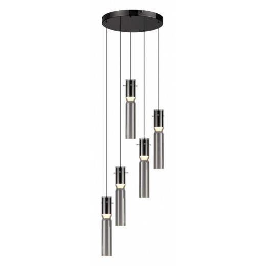 Подвесная люстра Odeon Light Scrow 5058/25L