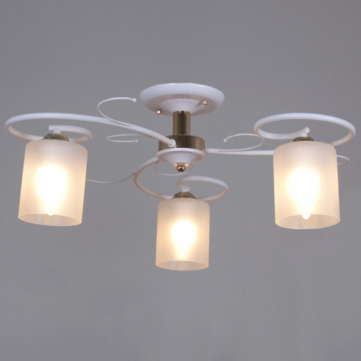 Люстра на штанге 00738-0.3-03