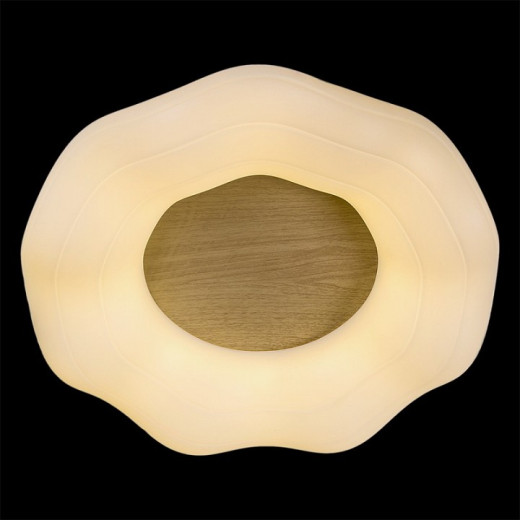 Накладной светильник 01029-0.3-01 WOOD