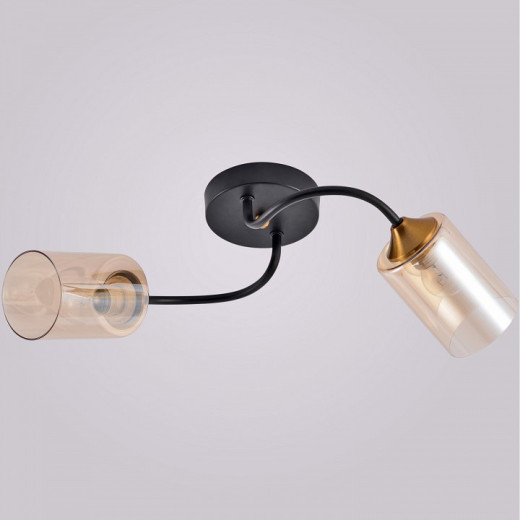 Накладной светильник 01608-0.3-02 BK+BRASS