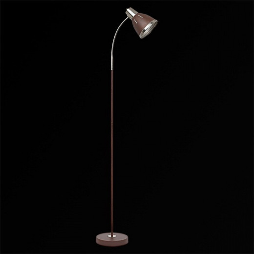 Торшер 03049-0.6-01B CF