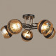Потолочная люстра 03619-0.3-05