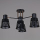 Потолочная люстра 06074-3.3-04 BK+FG
