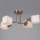 Люстра на штанге 06397-0.3-04 COP
