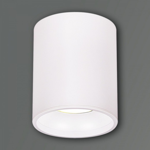 Накладной светильник 16132 16132-9.5-001CN MR16 WT