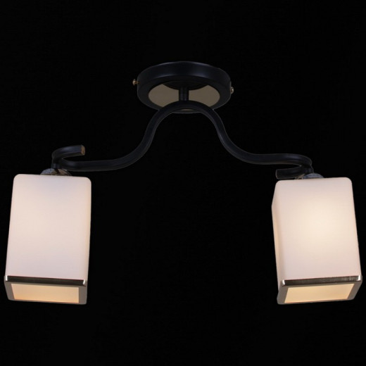 Светильник на штанге 32303-0.3-02