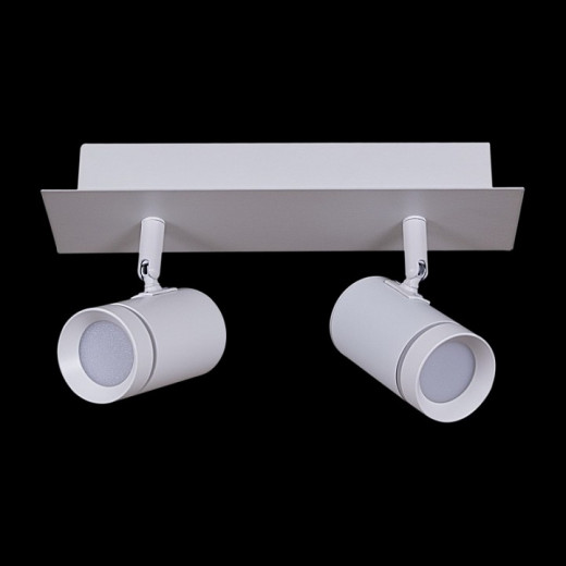 Спот 84281 84281-9.5-002RT LED2*5W WT