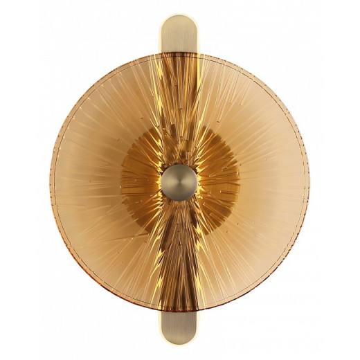 Накладной светильник ST-Luce WASI SL6141.311.01