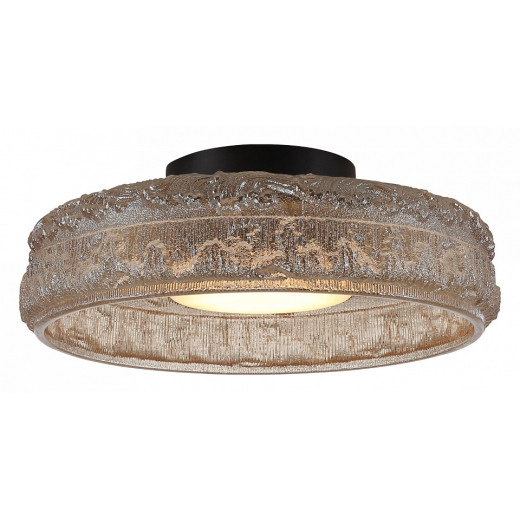 Накладной светильник ST-Luce ANTIKE SL6143.422.01