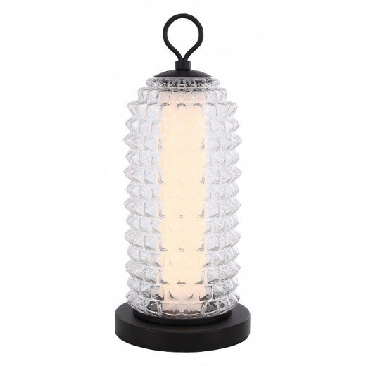 Настольная лампа декоративная ST-Luce SAGUARO SL6144.404.01