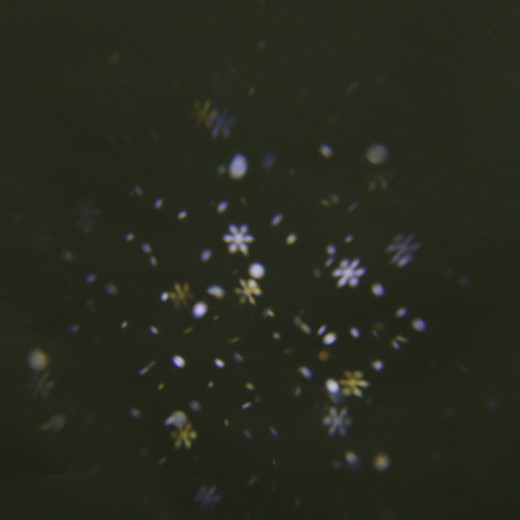 Настенный прожектор Sneha  00328-0.2-01