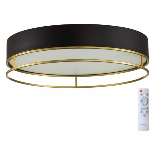 Накладной светильник Sonex Lofty 7723/100L