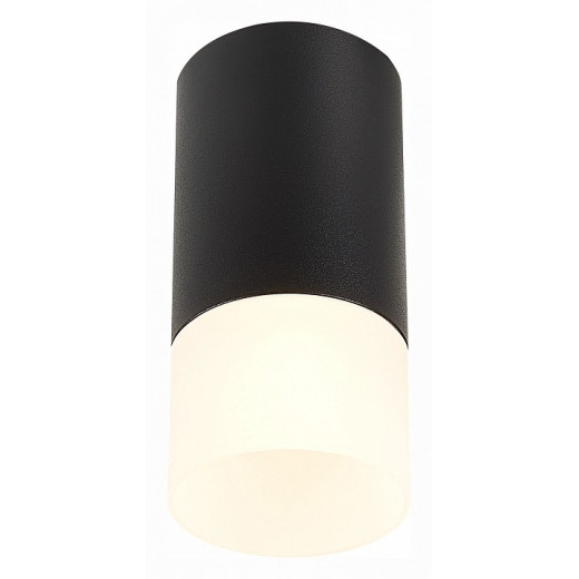 Накладной светильник ST-Luce ST100 ST100.412.01