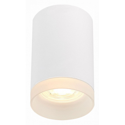 Накладной светильник ST-Luce ST100 ST100.502.01