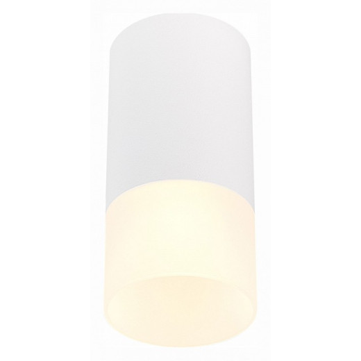 Накладной светильник ST-Luce ST100 ST100.512.01