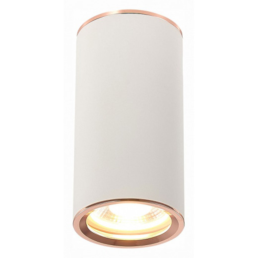 Накладной светильник ST-Luce Chomus ST111.527.01