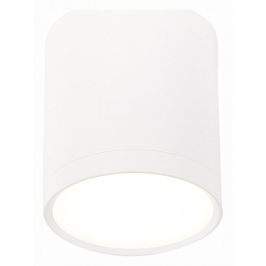 Накладной светильник ST-Luce Rene ST113.542.05