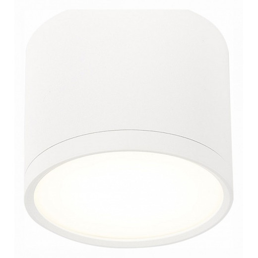 Накладной светильник ST-Luce Rene ST113.542.09