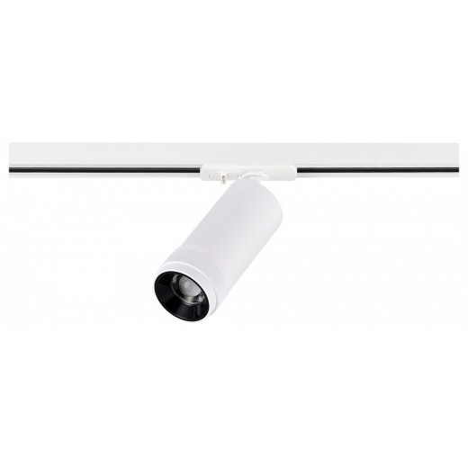 Светильник на штанге ST-Luce BASE ST385.536.20