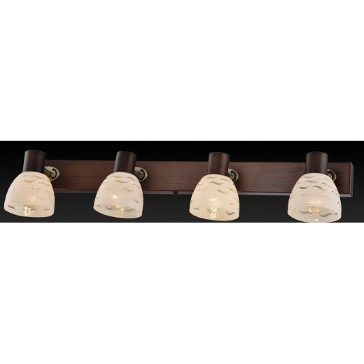 Спот TopLight Shayla TL3730Y-04BB