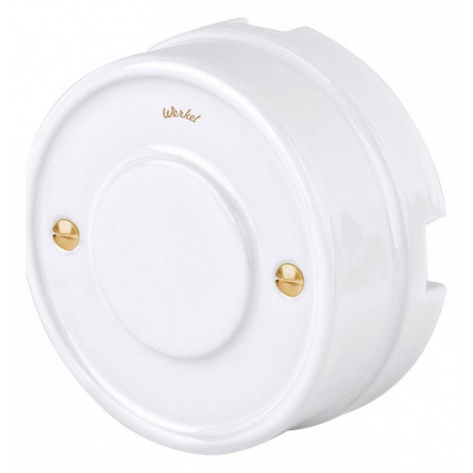 Винт Werkel Ретро (золото) WL18-22-01