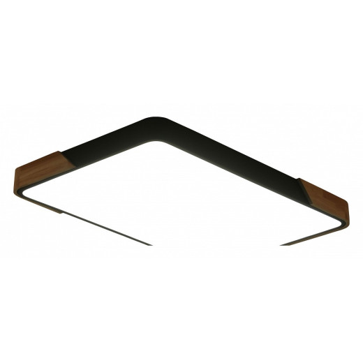 Накладной светильник Zortes Alberro ZRS.01244.60