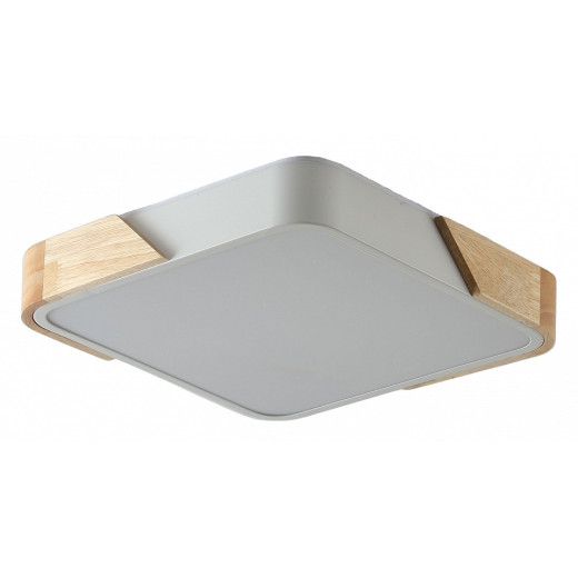 Накладной светильник Zortes Alberro ZRS.01285.36