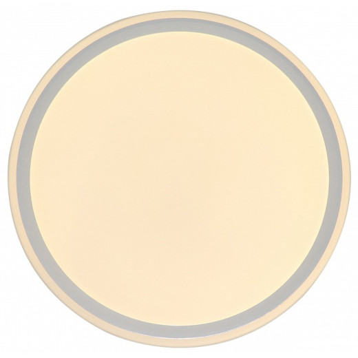 Накладной светильник Zortes Bella ZRS.1200.07