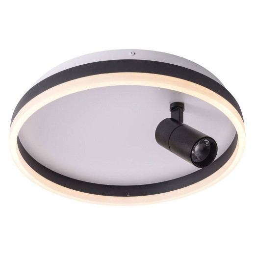 Накладной светильник Zortes Raizy ZRS.1888.03