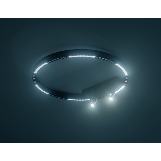 Накладной светильник Ambrella Light FL FL5808