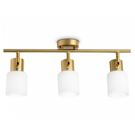 Спот Ambrella Light TR TR3972