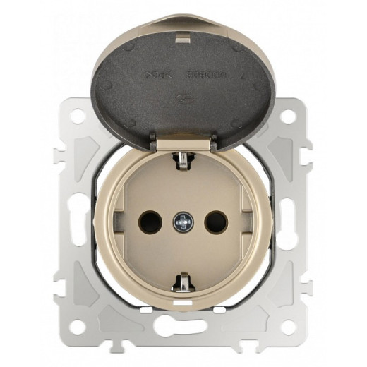 Розетка влагозащищенная с заземлением и со шторкой с крышкой Arte Milano am-202 202.41-1.shampan