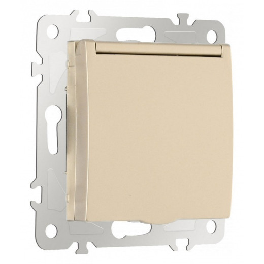 Розетка влагозащищенная с заземлением и со шторкой с крышкой Arte Milano am-206 206.41-1.shampan