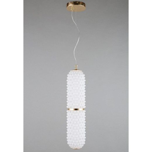 Подвесной светильник Aployt Ozeynn APL.332.06.22