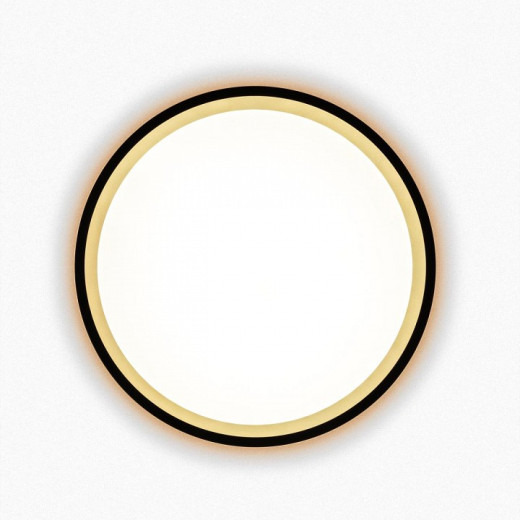 Накладной светильник Citilux Etalon CL750181