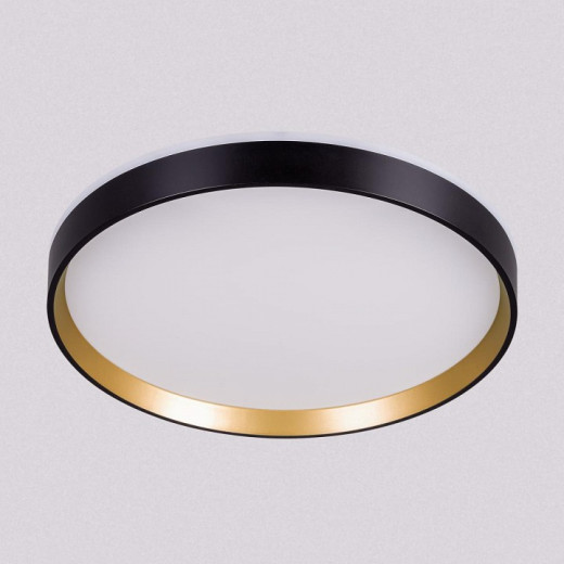 Накладной светильник Citilux ETALON CL750321R