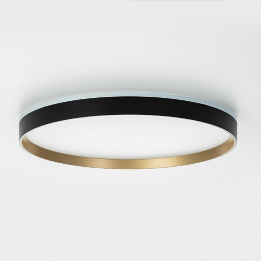 Накладной светильник Citilux ETALON CL750401R