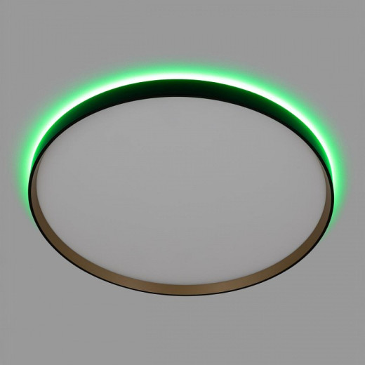 Накладной светильник Citilux ETALON CL750501R