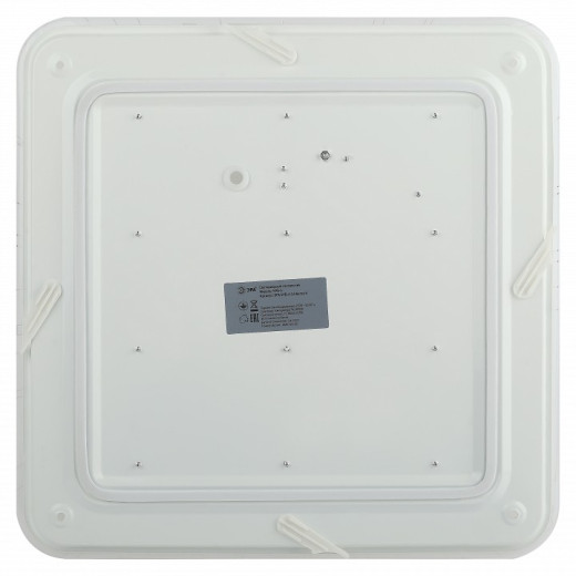 Накладной светильник Эра Классик SPB-6-24 Nancy S