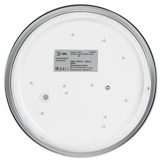 Накладной светильник Эра Relict Relict 22 SPB-6-20 4К WH