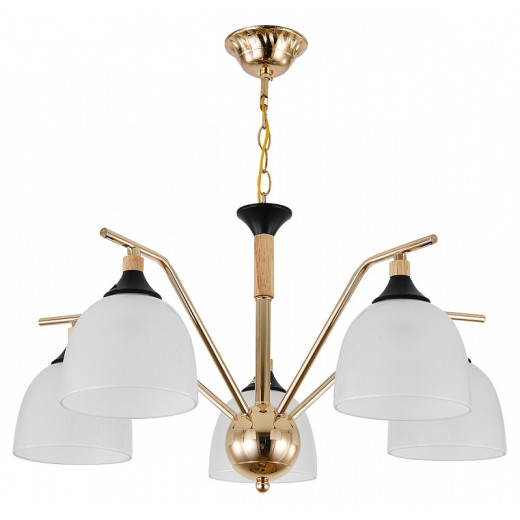 Подвесная люстра Escada Actinidia 2123/5P