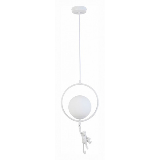 Подвесной светильник EVOLUCE Tenato SLE115113-01