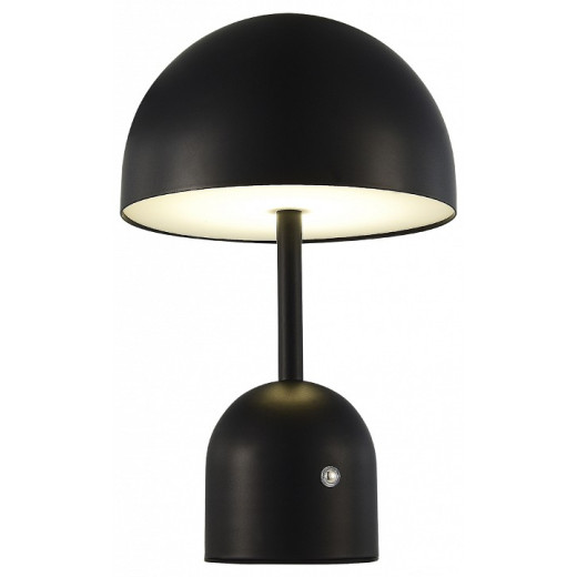 Настольная лампа декоративная EVOLUCE Eclat SLE1806-404-01