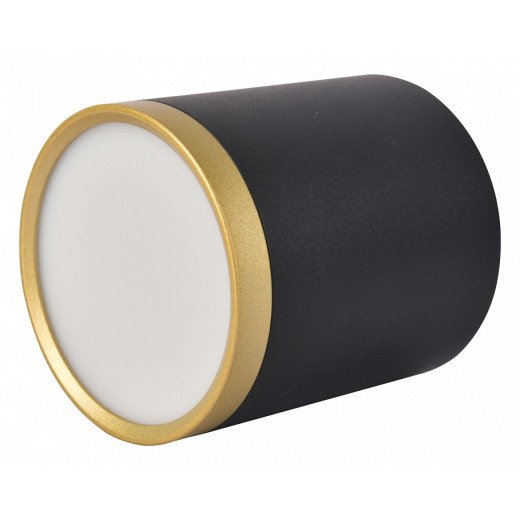 Накладной светильник Favourite Baral 3081-1C